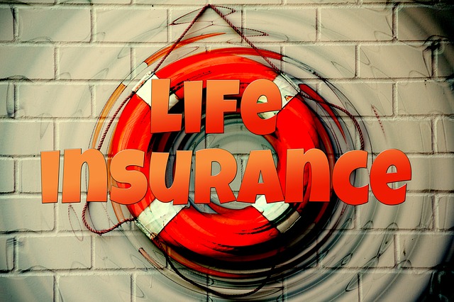 životní pojištění